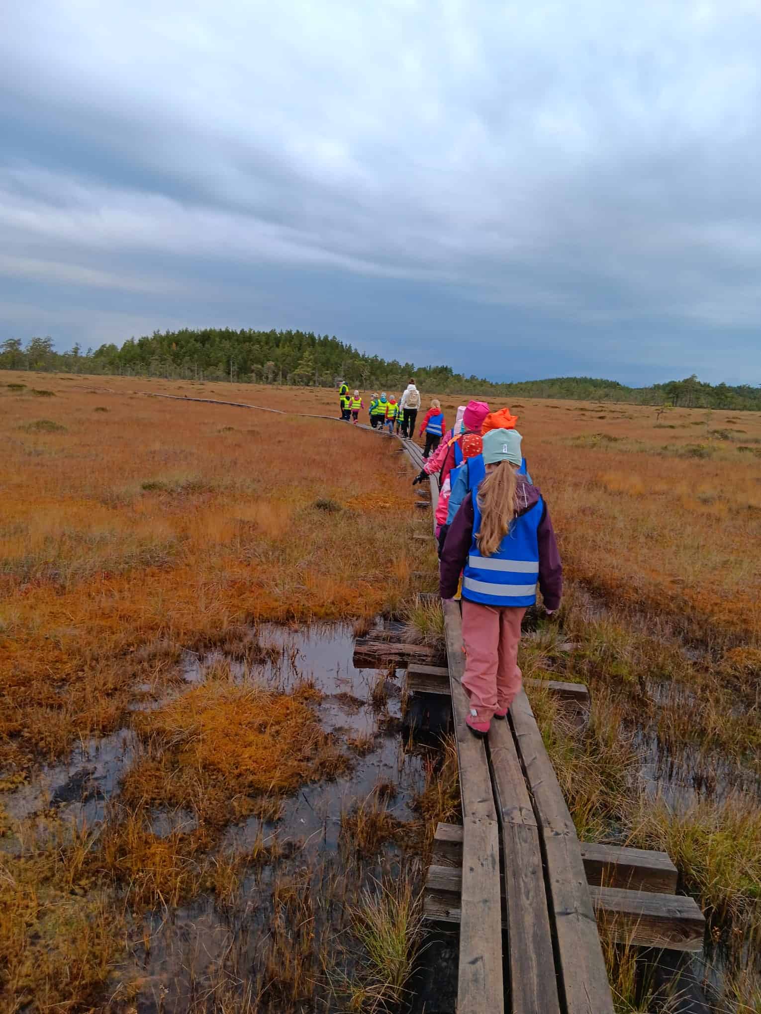 Eskarilaiset suoretkellä